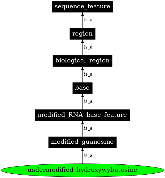 Graph image for SO:0001335