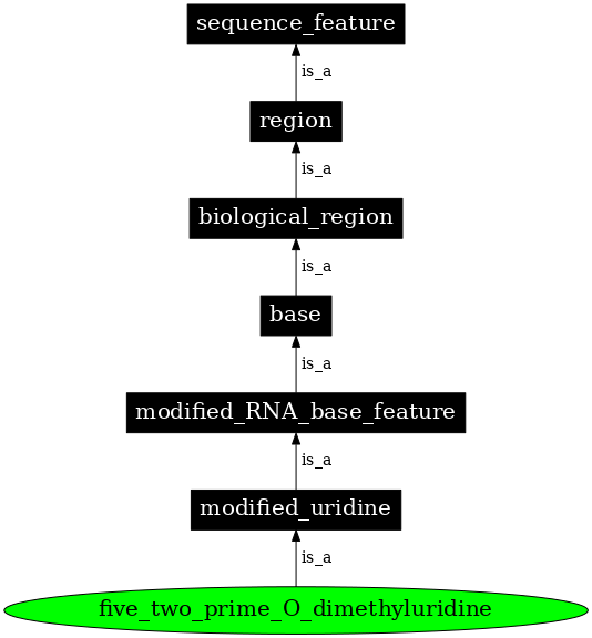 Graph image for SO:0001346