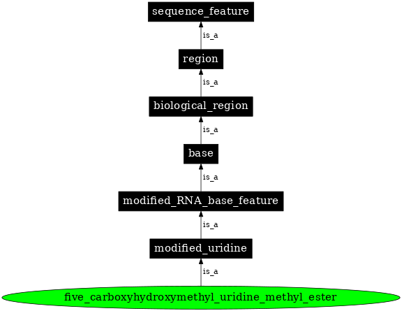 Graph image for SO:0001359