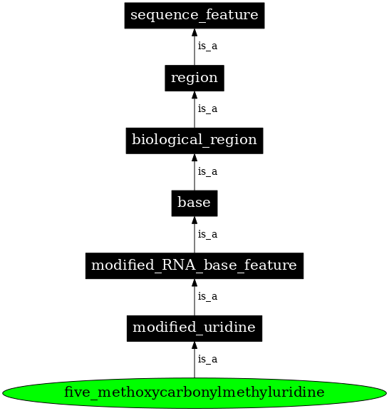 Graph image for SO:0001360