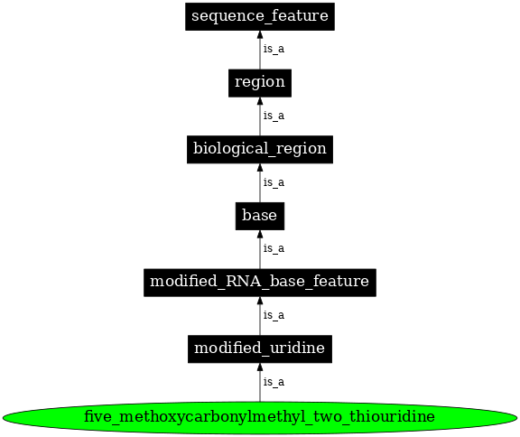 Graph image for SO:0001362