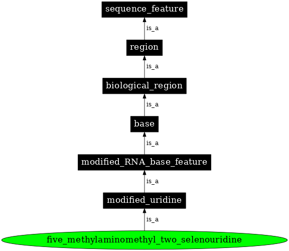 Graph image for SO:0001366