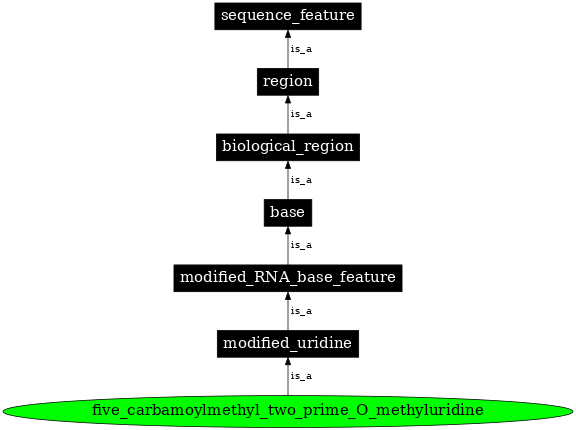 Graph image for SO:0001368