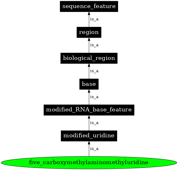 Graph image for SO:0001369