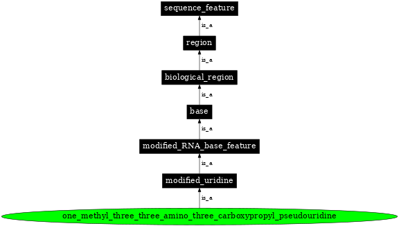 Graph image for SO:0001373