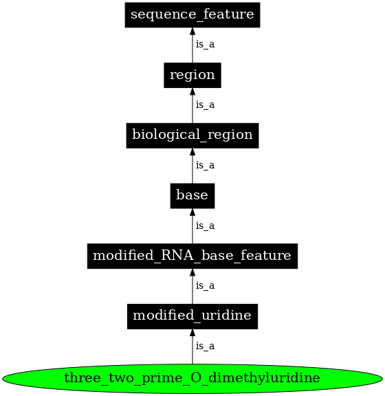 Graph image for SO:0001375