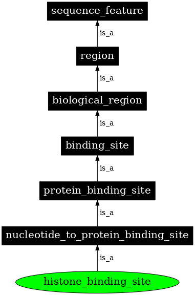 Graph image for SO:0001383