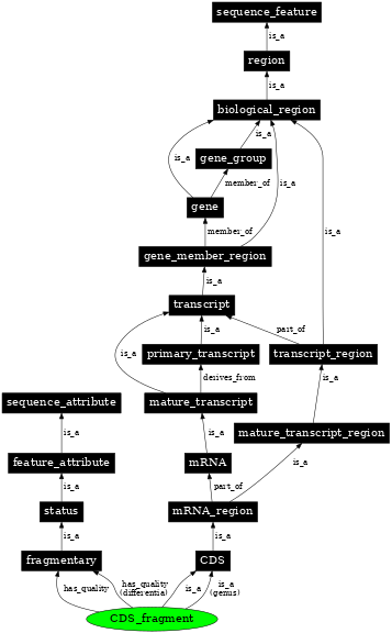 Graph image for SO:0001384