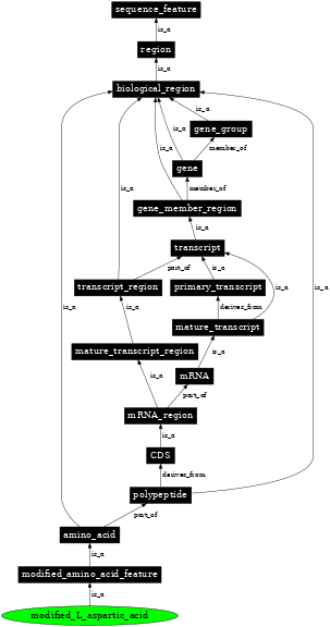 Graph image for SO:0001389