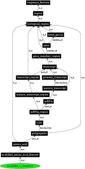 Graph image for SO:0001398