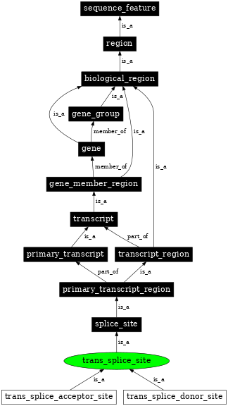 Graph image for SO:0001420