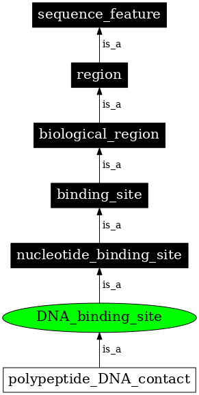 Graph image for SO:0001429