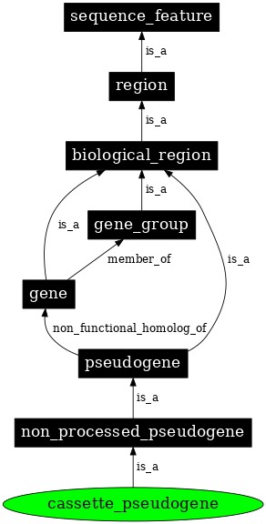 Graph image for SO:0001434