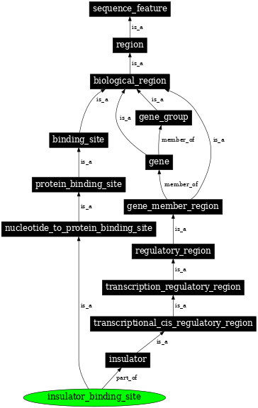 Graph image for SO:0001460