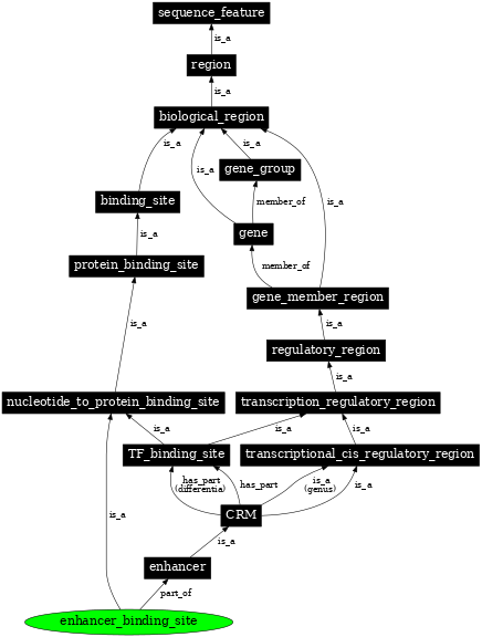 Graph image for SO:0001461