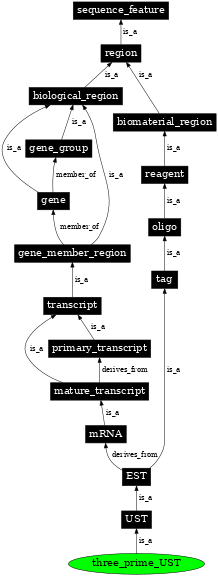 Graph image for SO:0001465