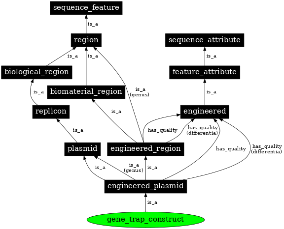 Graph image for SO:0001477