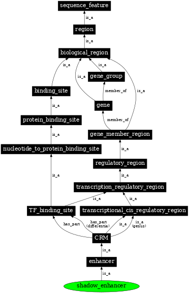 Graph image for SO:0001482