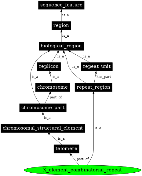 Graph image for SO:0001484