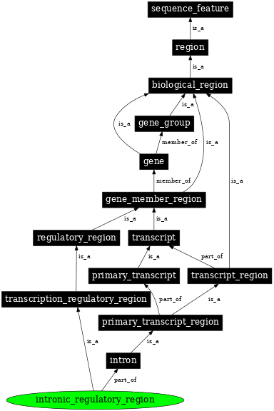 Graph image for SO:0001492