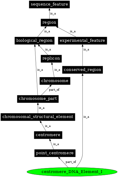 Graph image for SO:0001493