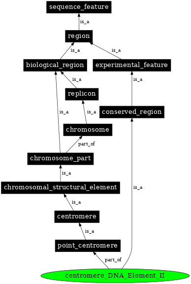 Graph image for SO:0001494