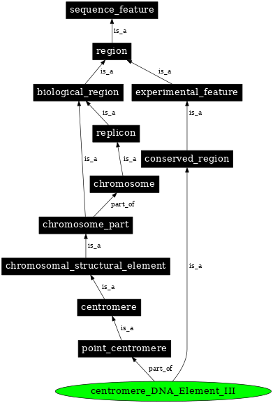 Graph image for SO:0001495