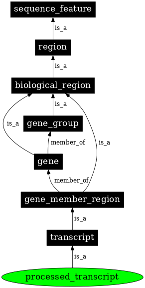 Graph image for SO:0001503