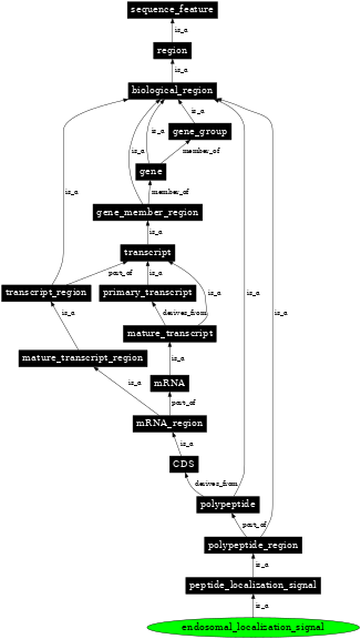 Graph image for SO:0001529