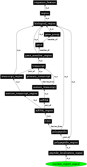 Graph image for SO:0001531