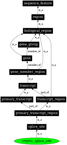 Graph image for SO:0001533