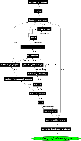 Graph image for SO:0001534