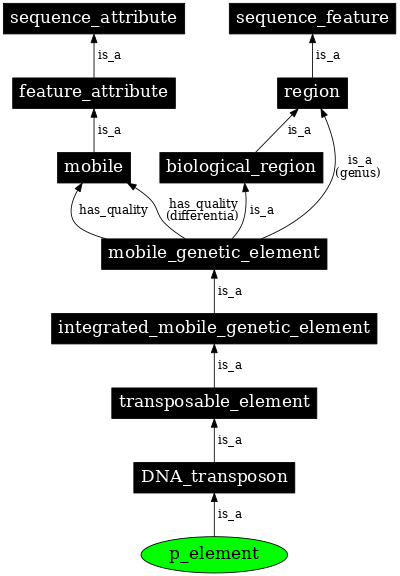 Graph image for SO:0001535