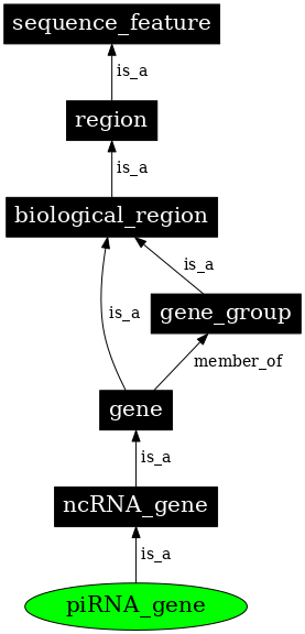 Graph image for SO:0001638