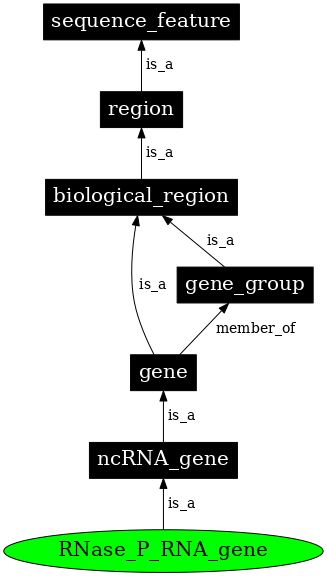 Graph image for SO:0001639