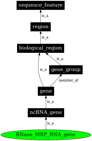 Graph image for SO:0001640