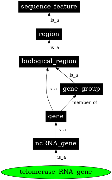 Graph image for SO:0001643