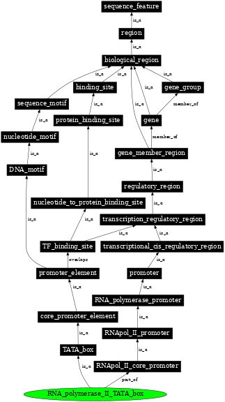 Graph image for SO:0001661