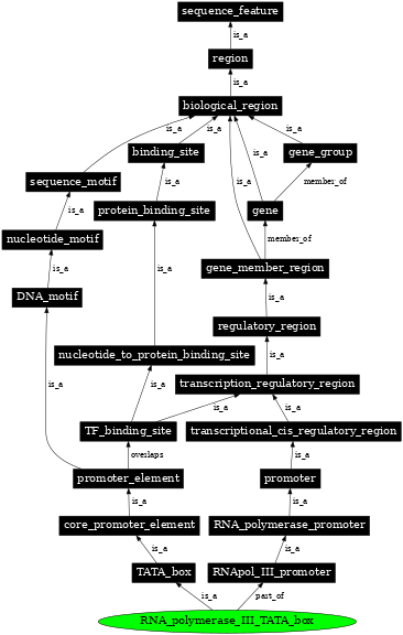 Graph image for SO:0001662