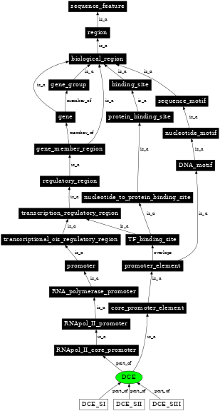 Graph image for SO:0001664