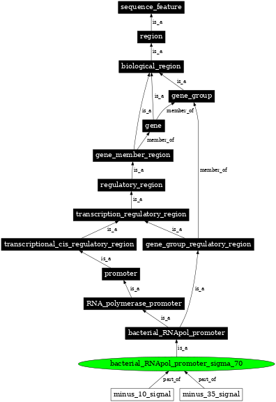 Graph image for SO:0001671