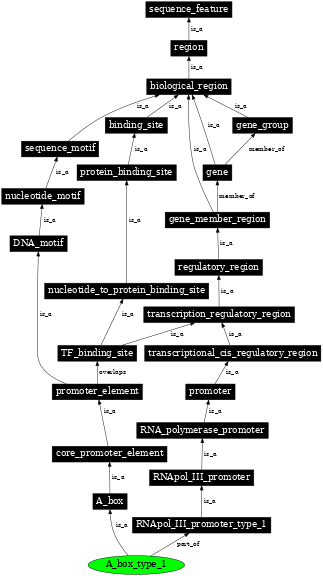 Graph image for SO:0001675