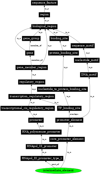 Graph image for SO:0001677