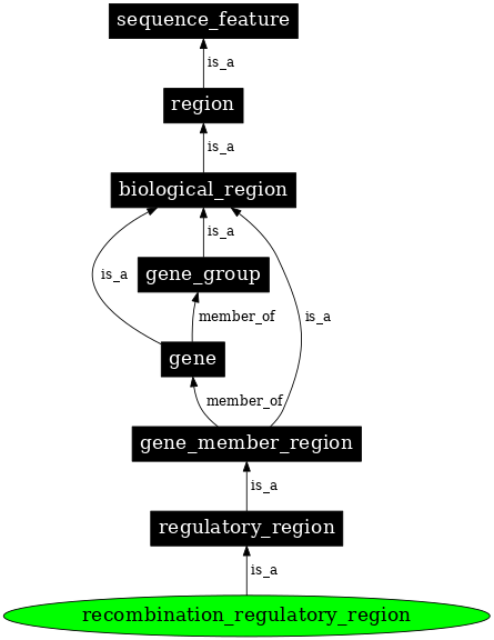 Graph image for SO:0001681