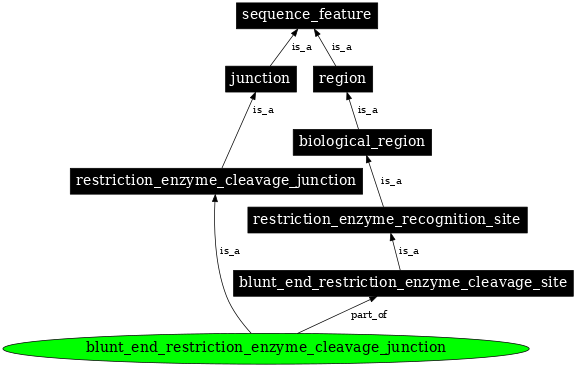 Graph image for SO:0001693