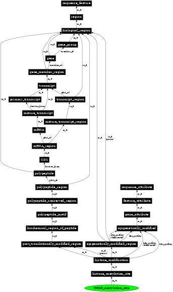 Graph image for SO:0001703