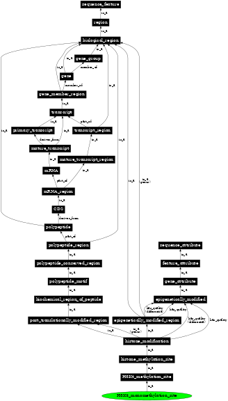 Graph image for SO:0001705