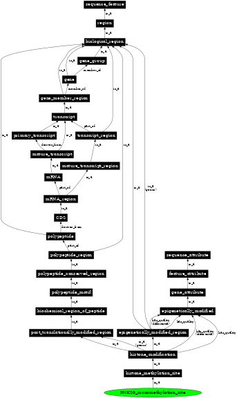 Graph image for SO:0001713