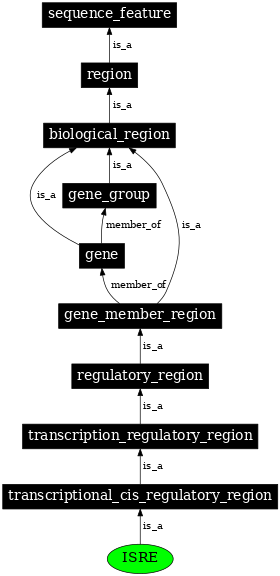 Graph image for SO:0001715