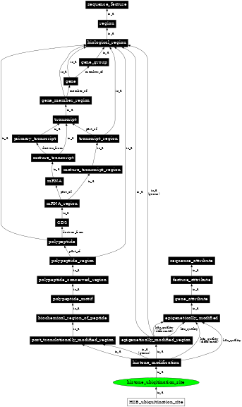 Graph image for SO:0001716